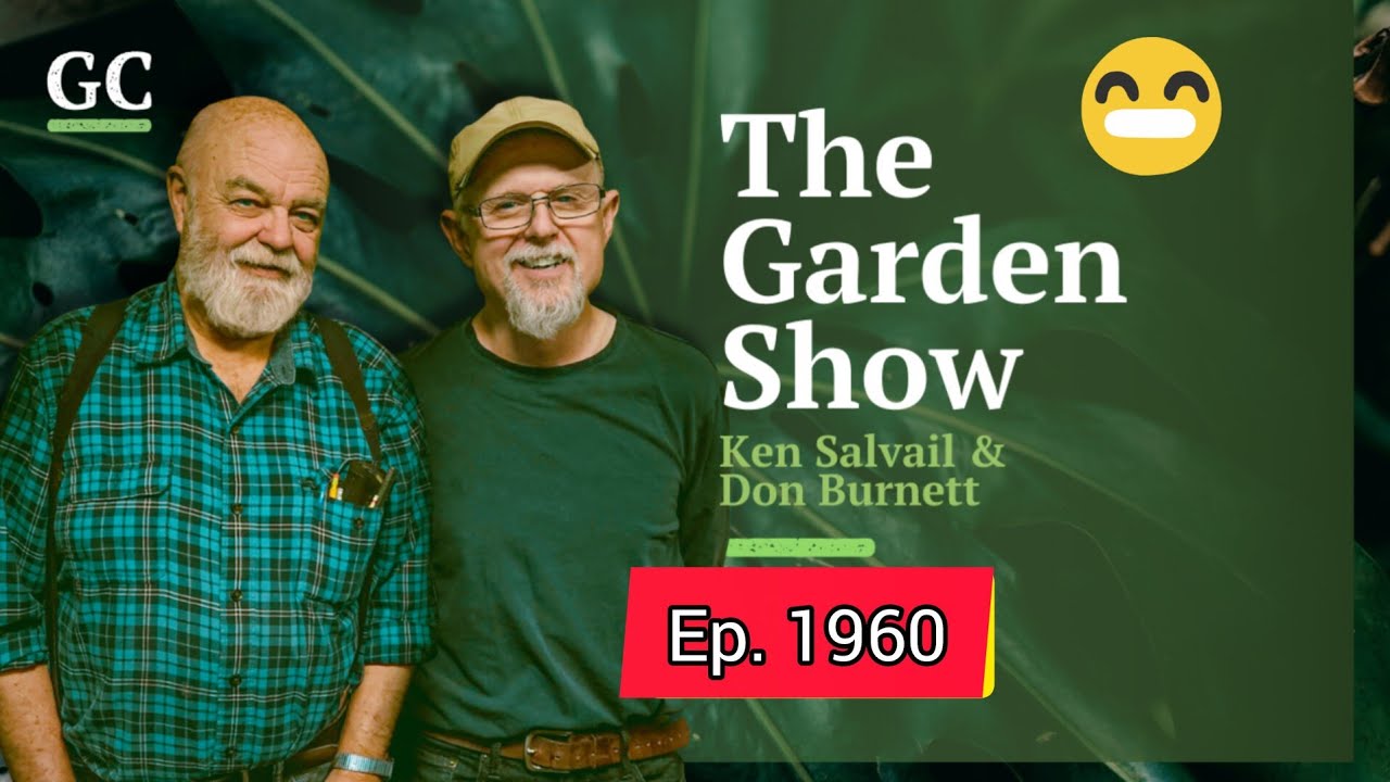 August Gardening Tips