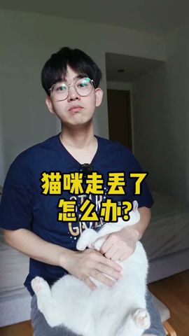 猫咪走丢了怎么办