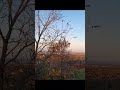 Hillside of Hamilton Canada