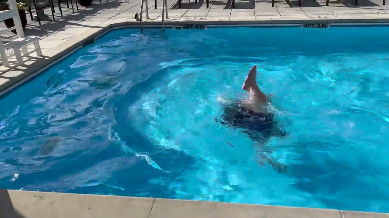 Unstoppable🎵 Chevy Chase, MD