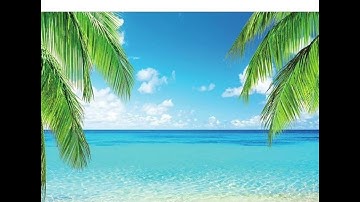 آيات من سورة النور - صلاة التراويح ليلة العشرين من رمضان 1445 هجرية