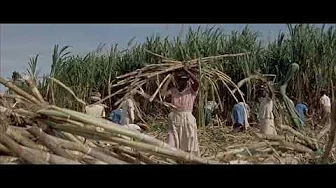 Island In The Sun (1957) Harry Belafonte Island In The Sun (1957) Harry Belafonte