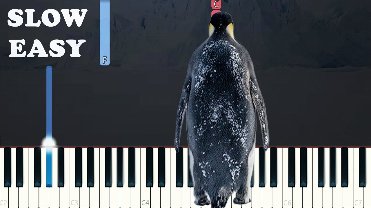 Viral Penguin Song Meme - L’Amour Toujours - Gigi D’Agostino (SLOW EASY PIANO TUTORIAL)