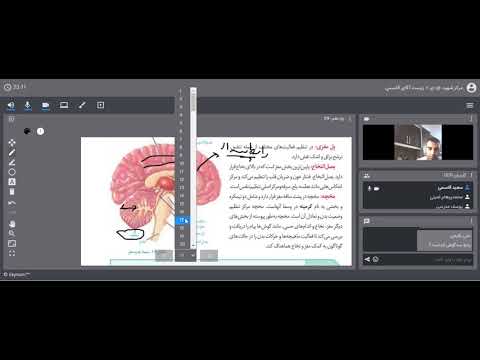 تصویری: خاکستری: الکا خواننده رنگ موهای واقعی خود را طبقه بندی کرده است