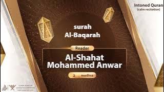 surah Al-Baqarah {{2}} Reader Al-shahat Mohammed Anwar