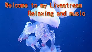 Hello everyone🎶 Welcome to my Livestream💖 Relaxation Video and music🎶