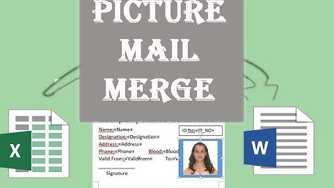 How to Mail Merge Excel data and images in Microsoft Word? Picture Mail Merge.