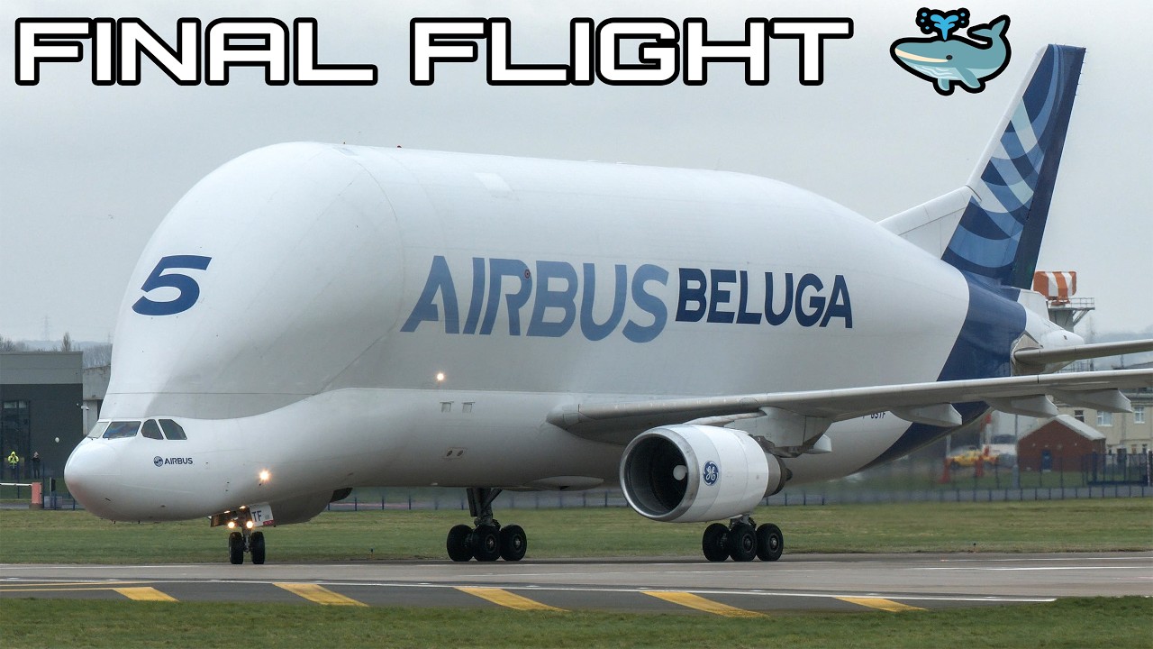 Final flight of Beluga Super Transporter arrives in Wales 🐳