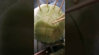 Rico melón verde