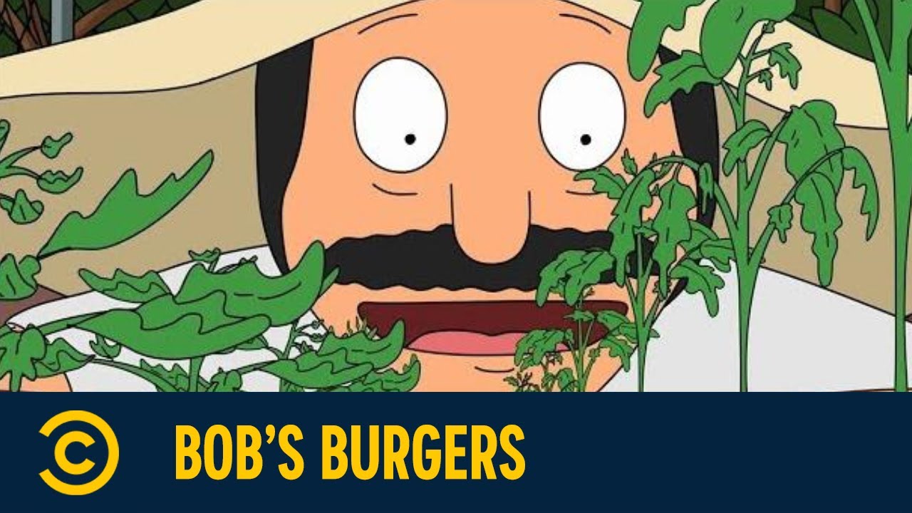 BobS Burgers Comedy Central BobS Burgers Comedy Central