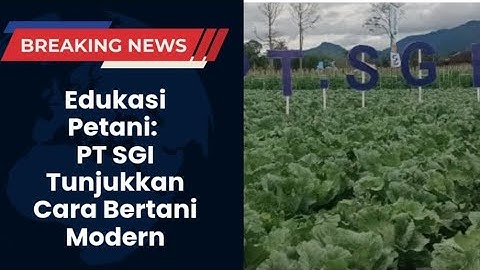 Edukasi Petani: PT SGI Tunjukkan Cara Bertani Modern