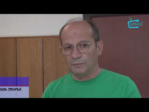 გომისმთის განაშენიანების გეგმა - ოზურგეთის საკრებულოს სხდომა