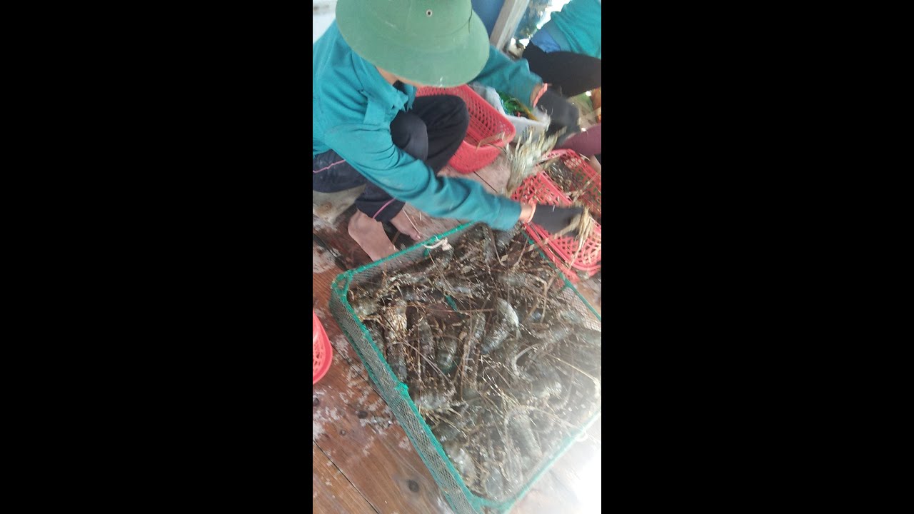 bánh kem hương việt 2022 Update TIỆM BÁNH KEM HƯƠNG VIỆT