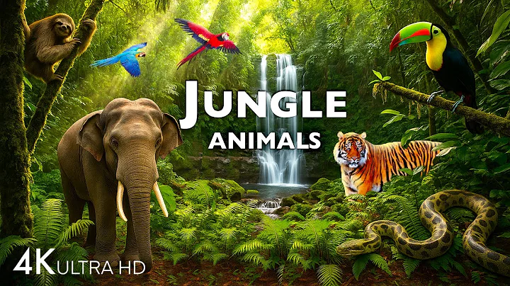 JUNGLE ANIMAL DISCOVERY / 60FPS 4K ULTRA HD #4K #ANIMALS thumbnail