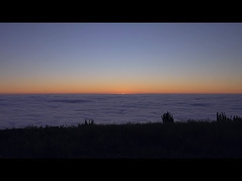 Ferven - When We Were Younger