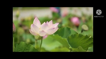 سورة هود ارح قلبك وسمعك أجمل تلاوة