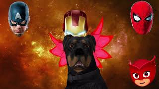 Wrong Heads Body Pj Masks And Gameplay Owlette