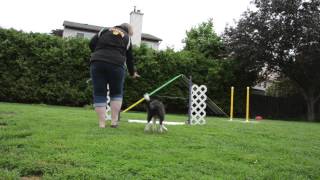 Lexi - One jump work - June 2013