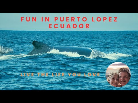 Fun in Puerto Lopez, Ecuador.  Whale watching, snorkeling, sea lions and great food.  Join us!