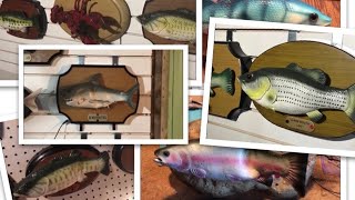 Random singing fish footage compilation