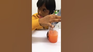 Water & Capillary Action - Celery Science Experiment