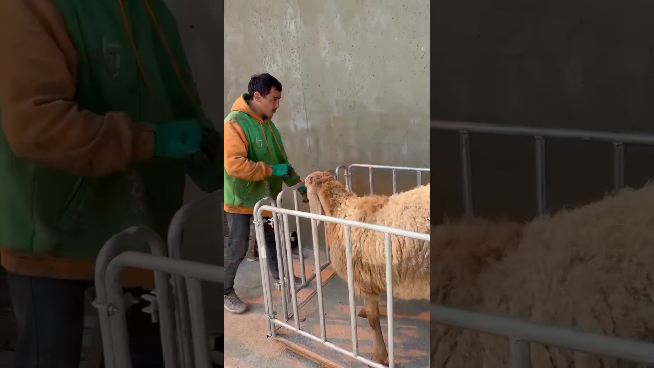 Сын Патриота💣🔥 