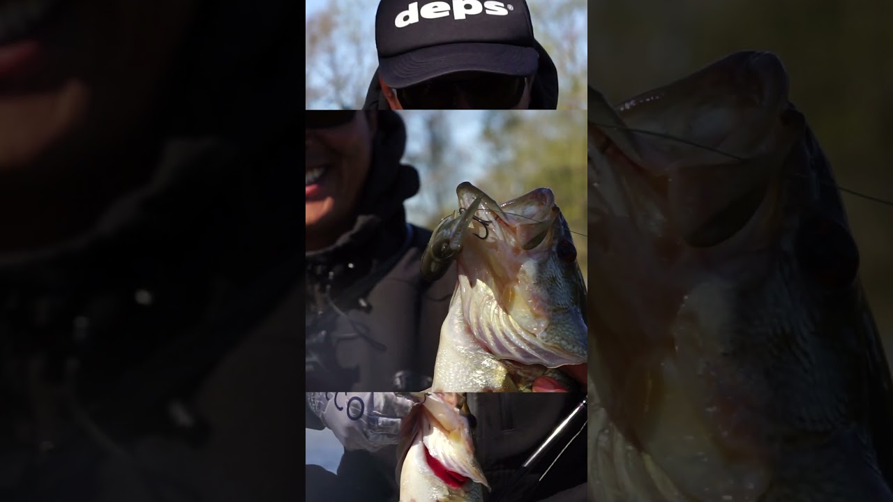 Japanese Swimbait Hack using Frog Tackle & Techniques 