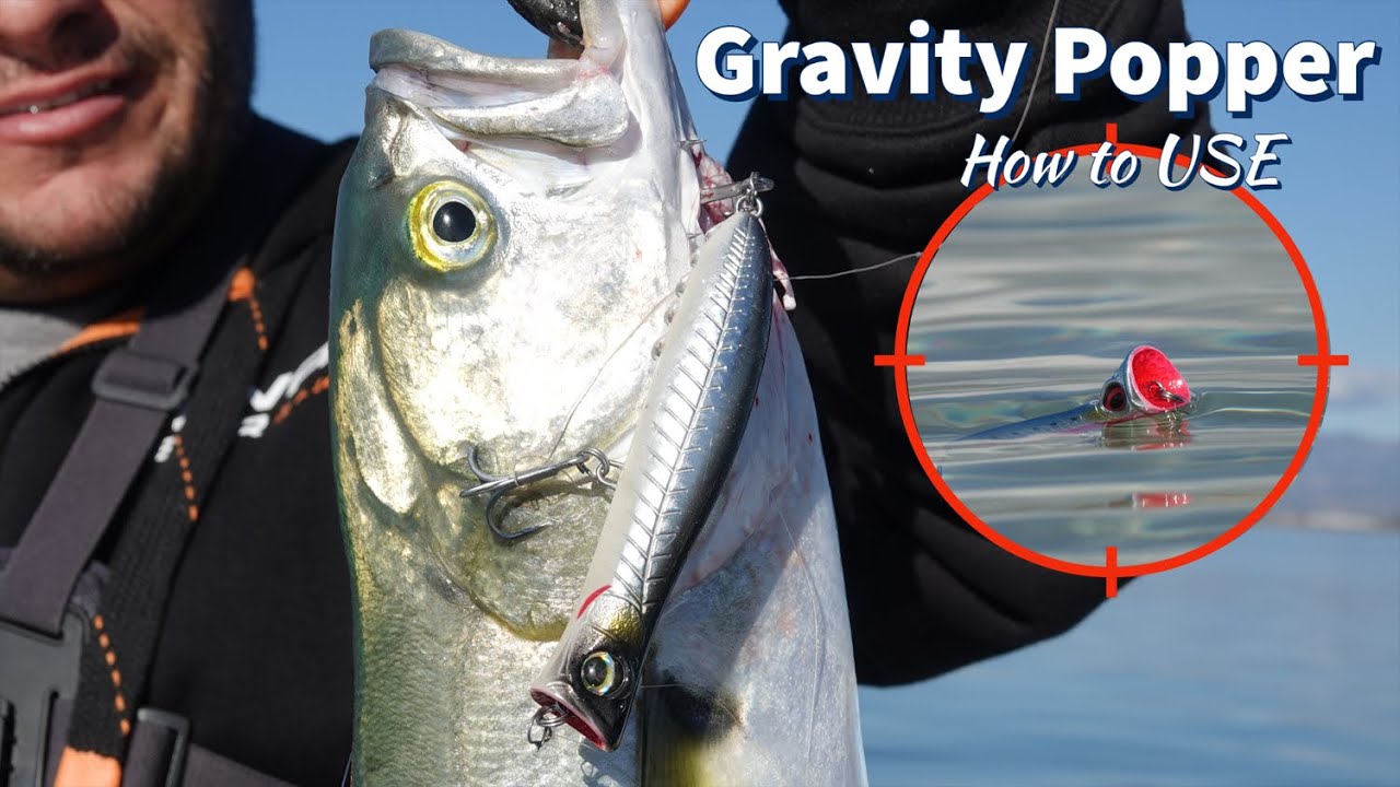 Catch More Fish with THIS Mind-Blowing Popper! The Secrets of