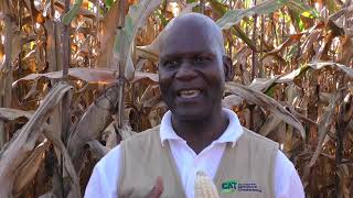 The Role of the Centre for Agricultural Transformation and FSFW is diversifying Malawi's farms.