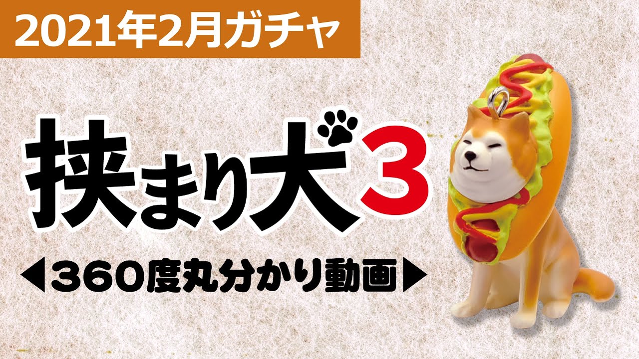 Qualia・2021年2月商品】「挟まり犬3」 - YouTube