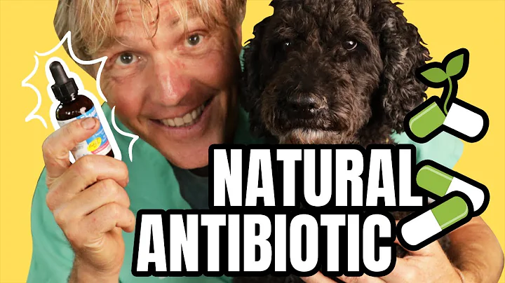 Natural Antibiotics to PREVENT and TREAT Infection - DayDayNews