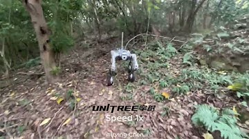 Unedited One-Take Video: Four-Wheel Drive B2W Robot Dog Tackles All Terrains with Ease!