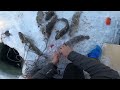 Russians Catching Monster Fish Under Ice ?Can We Beat Them?