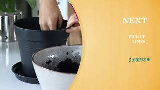 Fatena Tv - After Effect