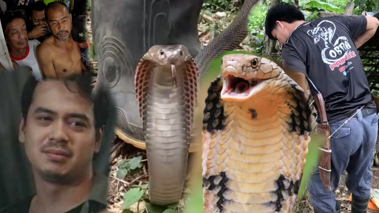 GRABE ANG TATAPANG NG COBRA SA LUPAIN NI John Lloyd Cruz
