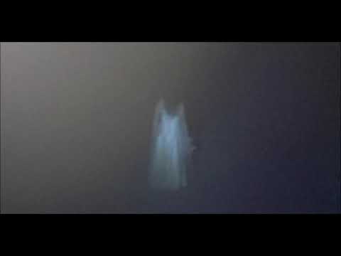 Vídeo: Leyendas Paranormales Que Asustan Incluso A Los Científicos - Vista Alternativa