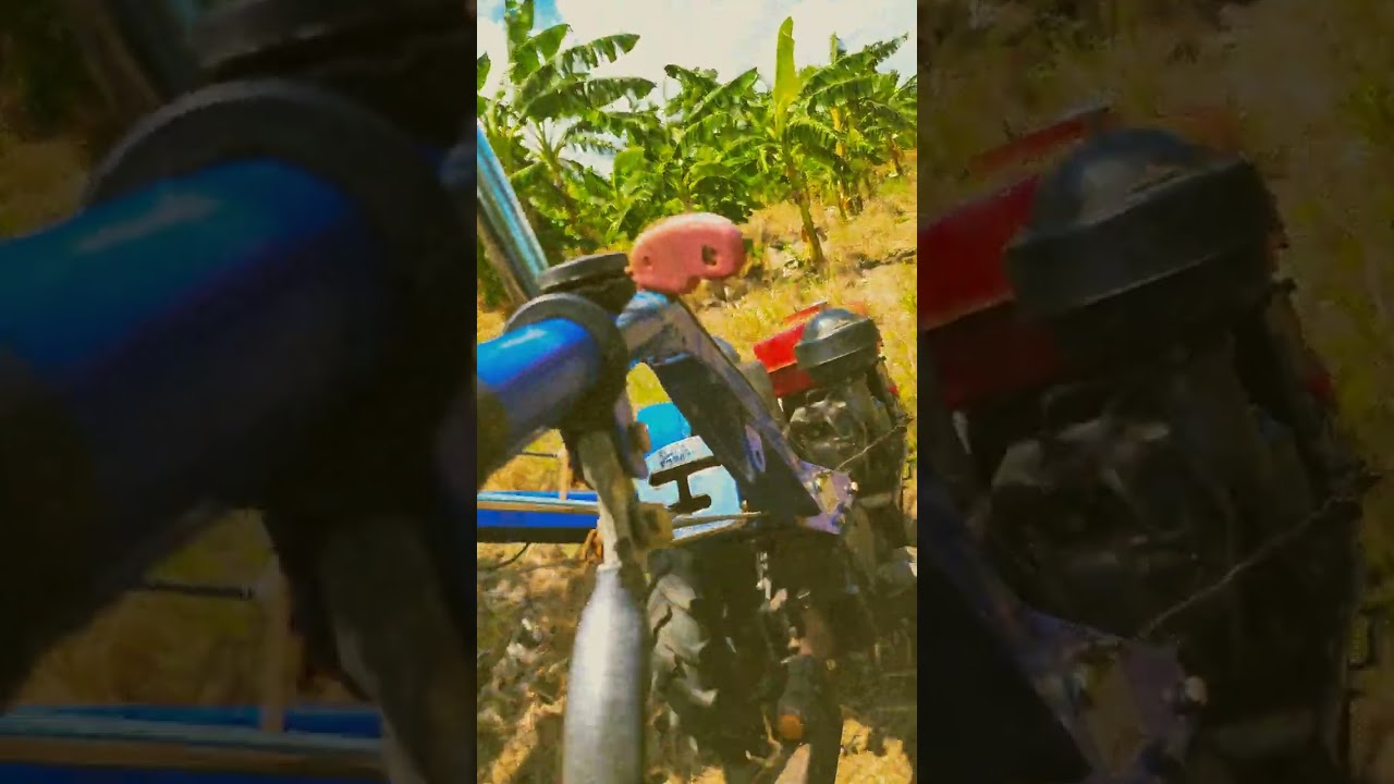 two wheel tractor  in Jamaica