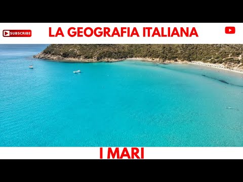 Video: Quali sono i quattro temi della geografia?