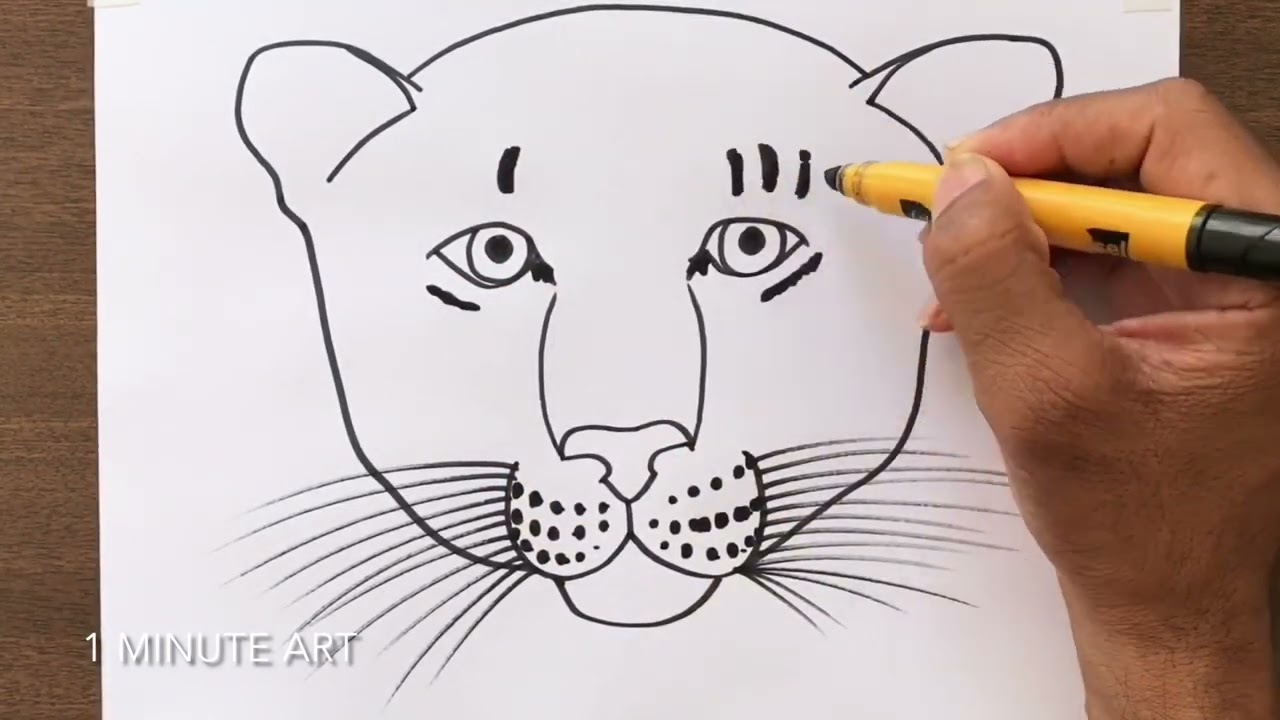 How to Draw a Jaguar