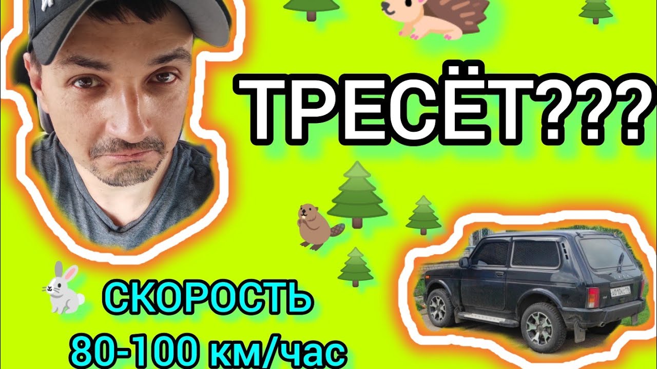 Крейсерская скорость нивы