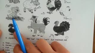 Download 5.sinif İngİlİzce 2.dÖnem 2.yazili Video MP3 5.sinif İngİlİzce 2.dÖnem 2.yazili