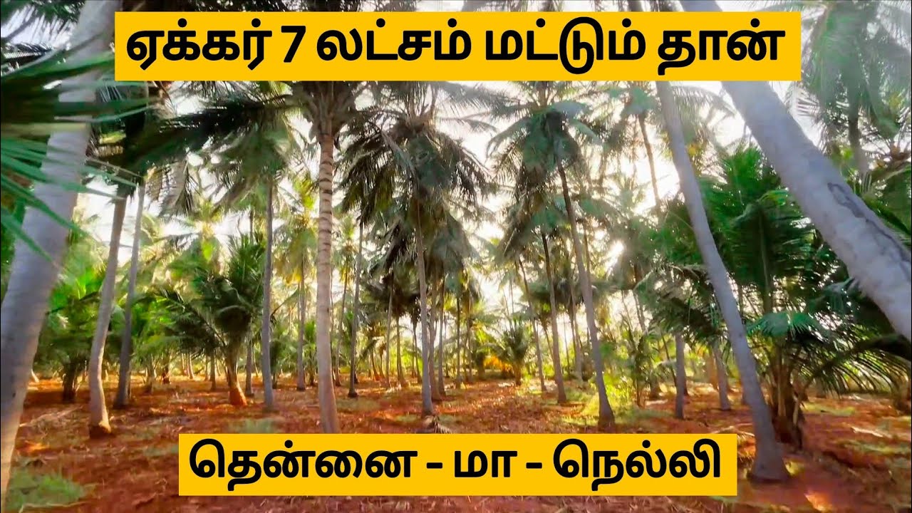 ஏக்கர் விலை 7 லட்சம் மட்டுமே✅ Borewell-16 அடி வழிப்பாதை😍 25 ஏக்கர் விற்பனைக்கு