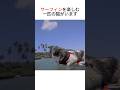 サーフィン猫 #ねこのきもち #ねこのいる生活 #動物雑学