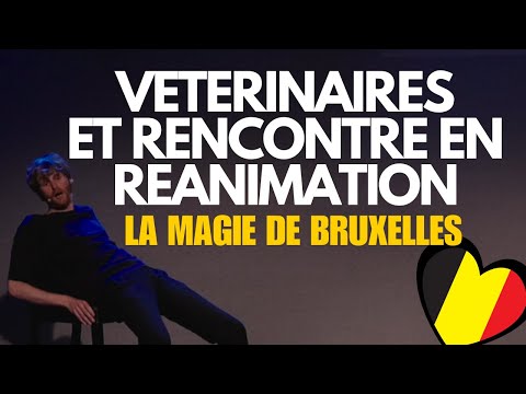 UN SOIR À BRUXELLES (IMPRO)