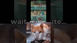 Me After Realizing It