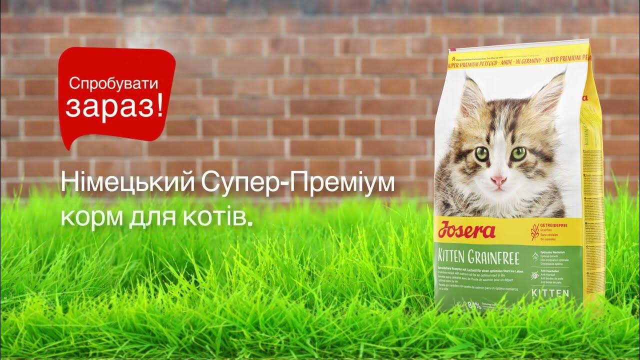 Josera Kitten grainfree (Йозера Киттен грейнфри птица) корм для котят и ...