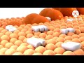 Youtube Thumbnail title