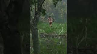 Bad Granpa Wild Nudist