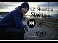 Ed Sheeran Shape Of You Official Reversed Lyrics Sountrack Ed Sheeran Shape Of You Official Reversed Lyrics Sountrack