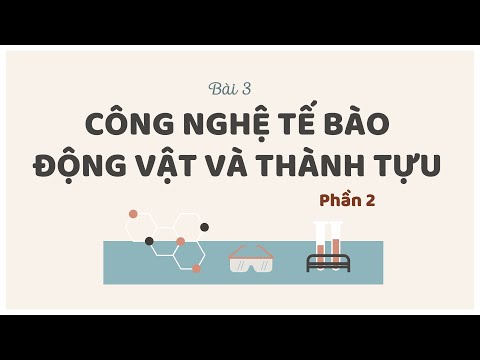 Video Bài 3. Công nghệ tế bào động vật và thành tựu (P2) -... - youtube